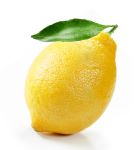 VI - VIVIFIANTE | CITRON-NÉROLI | EAU DE JOUR | 10 ml - TODORE